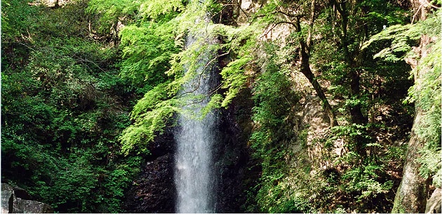 FV_岐阜県養老町.PNG