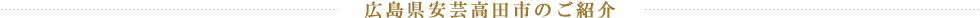広島県安芸高田市のご紹介