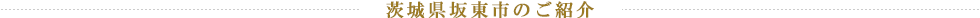 茨城県坂東市のご紹介