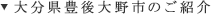 大分県豊後大野市のご紹介
