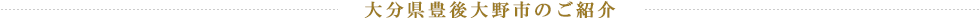 大分県豊後大野市のご紹介