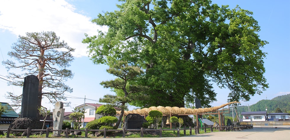 山形県東根市の地域・お礼品情報 | ふるさと納税サイト【さとふる】