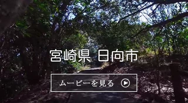 宮崎県日向市の地域 お礼品情報 ふるさと納税サイト さとふる 宮崎県日向市の地域 お礼品情報 ふるさと納税サイト さとふる