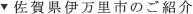 佐賀県伊万里市のご紹介