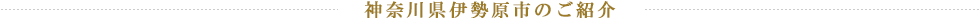 神奈川県伊勢原市のご紹介