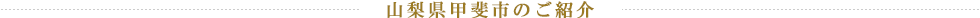 山梨県甲斐市のご紹介