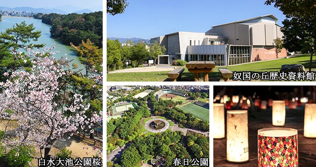 さとふるふるさと納税 春日市 lt;福岡県産gt;香りふわっと ティーパック 10包入り×2袋 レモングラス×ルイボス茶