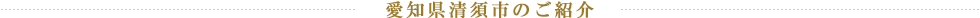 愛知県清須市のご紹介