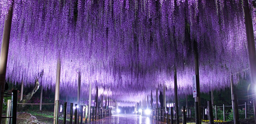 【引き取り限定　愛知県江南市近郊】 引き取り限定 愛知県江南市近郊】 引き取り限定愛知県江南市近郊】