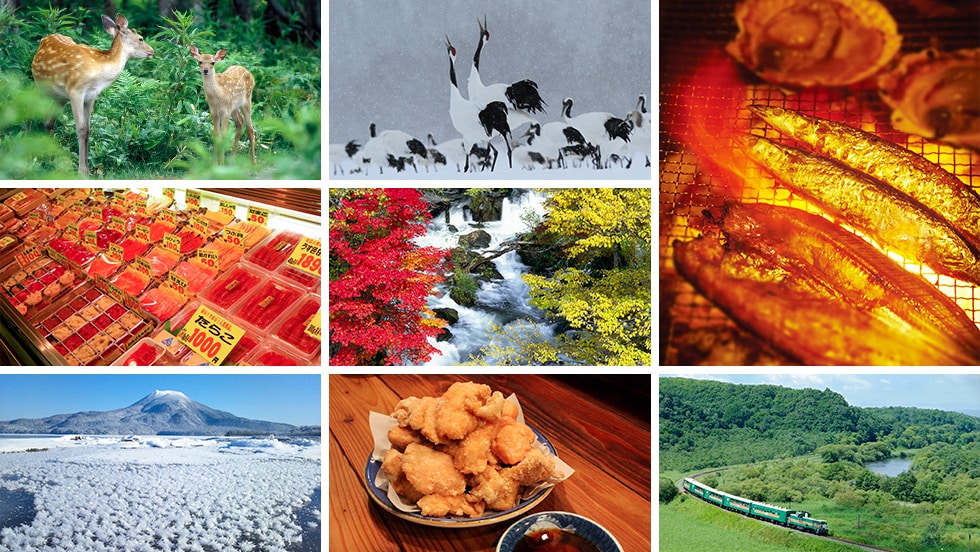 北海道釧路市の地域・お礼品情報 | ふるさと納税サイト【さとふる】