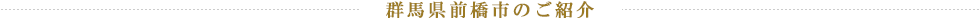 群馬県前橋市のご紹介