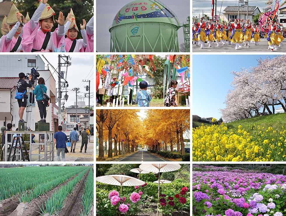 千葉県茂原市の地域・お礼品情報 | ふるさと納税サイト【さとふる】