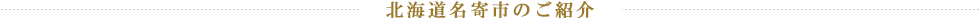 北海道名寄市のご紹介