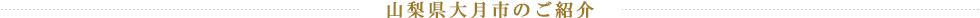 山梨県大月市のご紹介
