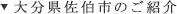 大分県佐伯市のご紹介