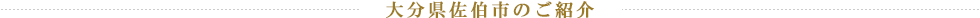 大分県佐伯市のご紹介