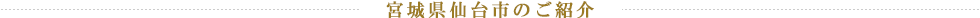 宮城県仙台市のご紹介