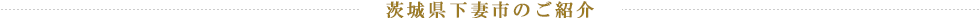 茨城県下妻市のご紹介