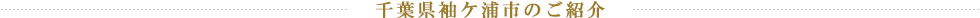 千葉県袖ケ浦市のご紹介