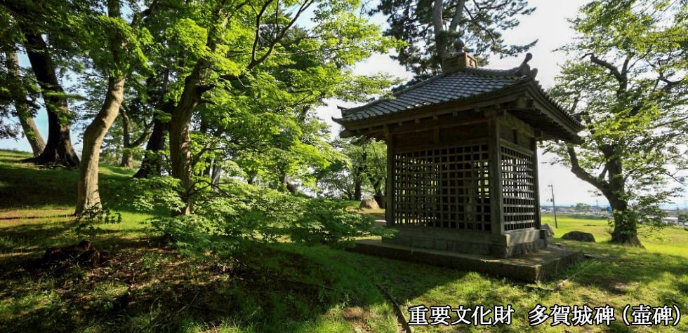 宮城県多賀城市の地域 お礼品情報 ふるさと納税サイト さとふる 宮城県多賀城市の地域 お礼品情報 ふるさと納税サイト さとふる