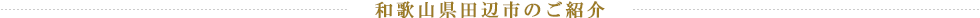 和歌山県田辺市のご紹介