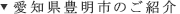 愛知県豊明市のご紹介