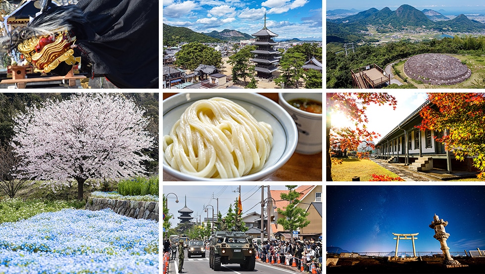 SALE／87%OFF】 ふるさと納税 善通寺市 2022年秋収穫 善通寺市産キウイ詰合せ 2 staging.yamaha.com.np