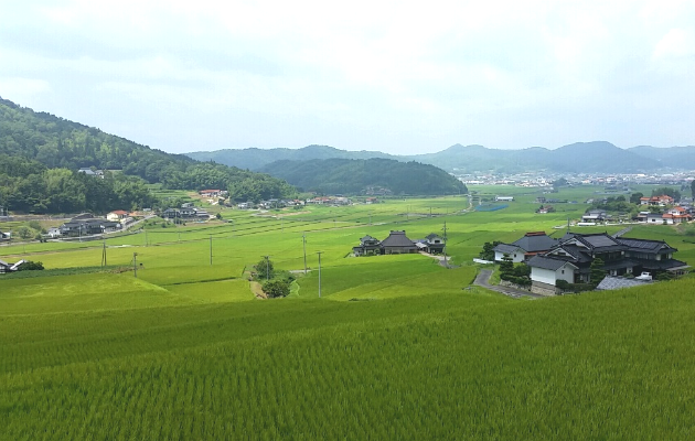 ③世羅町の風景差し替え.png