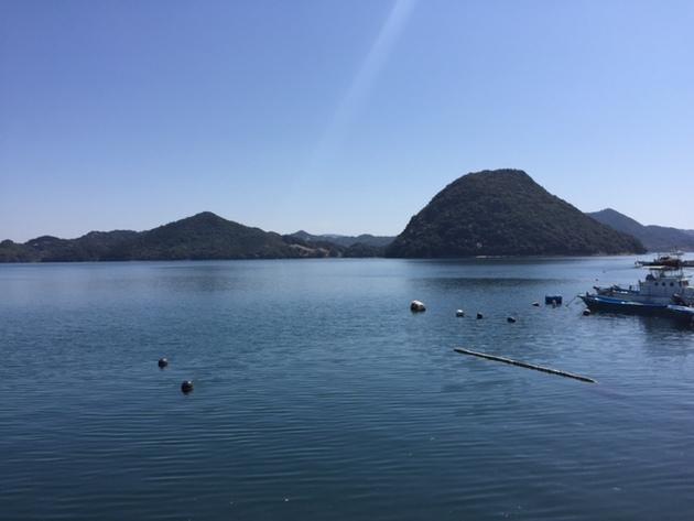 1_風景 (2).jpg