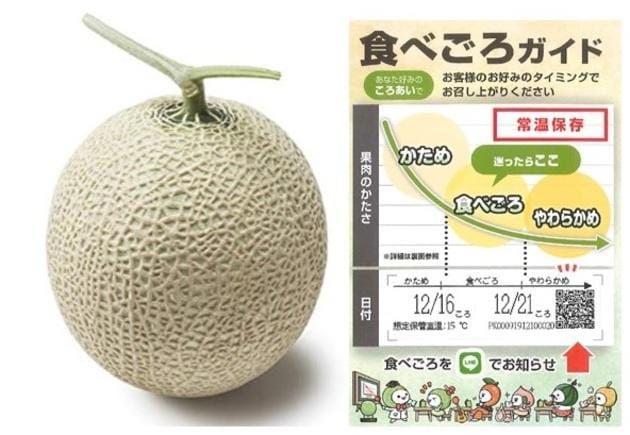 8_スライド2 (1).jpg
