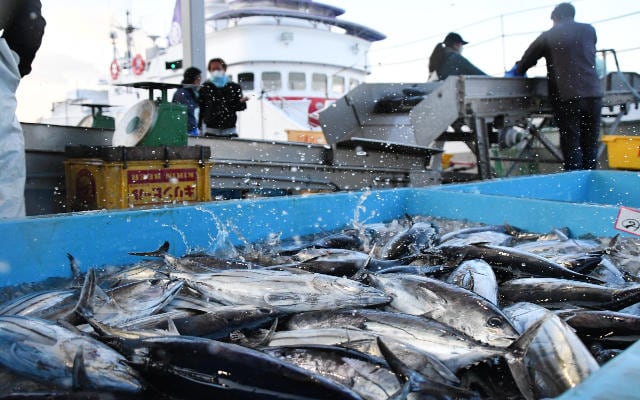 3_04_【勝浦市】漁港_RS.jpg