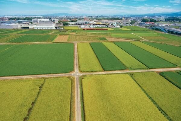 ①安城市の田園の様子_rs2.jpg