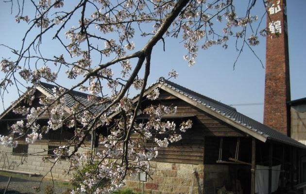 1.豊永酒造.jpg