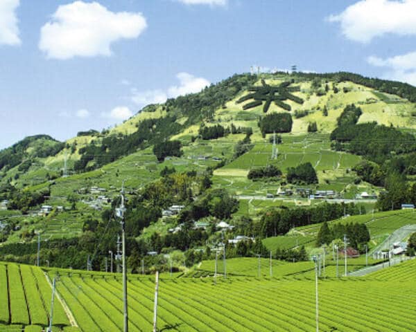 8.掛川市.jpg