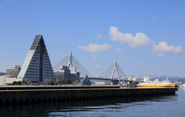 08.jpg