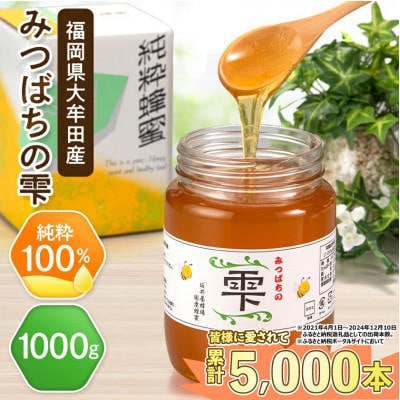 はちみつお礼品画像.jpg