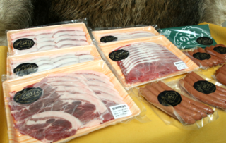 イノシシ肉を能登の特産品に