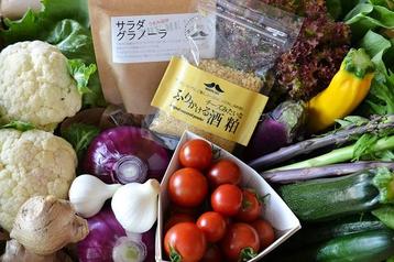 記事分類から探す