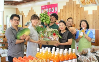 「島野菜セット」販売で奄美の農業を救う
