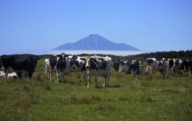 牧場風景_R.png