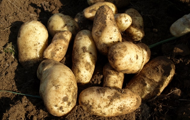 P9011767_R.png