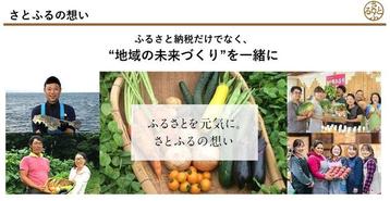記事分類から探す
