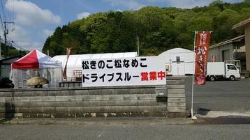 記事分類から探す