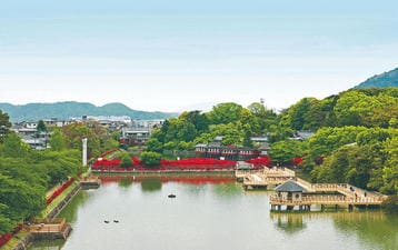 自治体｜寄付の使い道・まちづくり