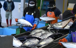 寄付者のニーズを大切にして寄付額が5倍に