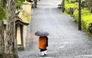 人気お礼品誕生の背景にあった