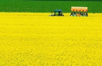 北海道