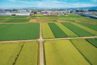 かつて「日本デンマーク」と呼ばれた農業先進都市 安城市の挑戦