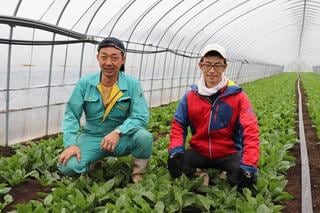 食料自給率1位の北海道。新規就農者が富良野市に続々集まるワケ  