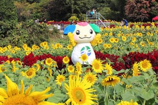 ふるさと納税を活用して幅広い世代から愛されるまちづくりを